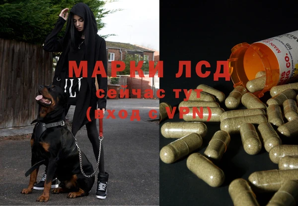 гидропоника Алексеевка