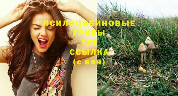 гидропоника Алексеевка