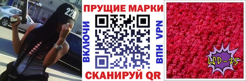 дарк нет как зайти  OMG   Сорочинск  Марки 25I-NBOMe 1,8мг 