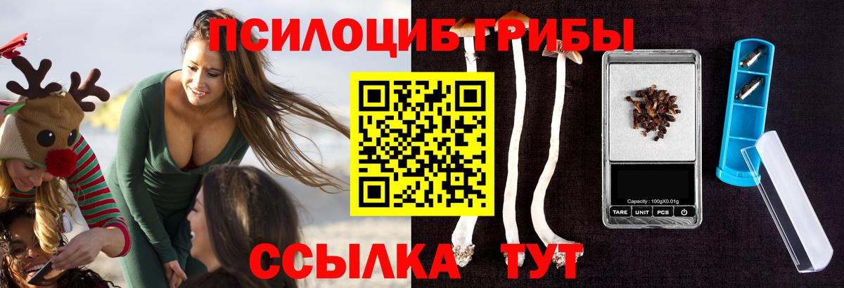 Псилоцибиновые грибы прущие грибы  Вход с VPN  Сорочинск 